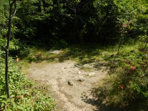 Campsite 1909