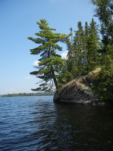 Island on Fraser