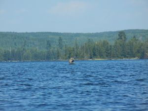 Paddling Fraser