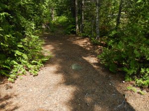Campsite 1172