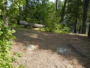 Campsite 1172