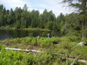 Campsite 1172