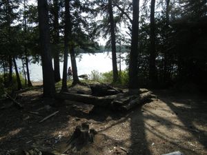 Campsite 1172