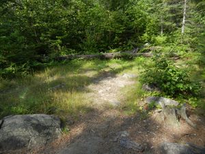 Campsite 1171