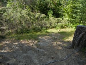 Campsite 1171