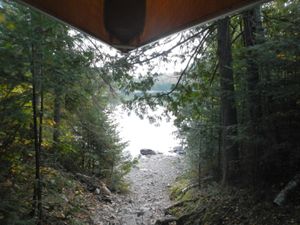 Portage to Carp Lake