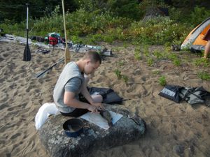 Learning to Clean a Fish