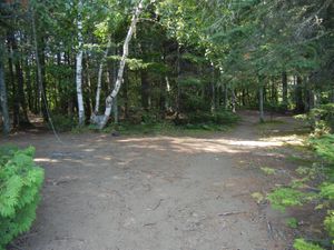 Campsite 1334