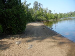 Campsite 1334