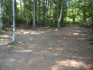 Campsite 1334