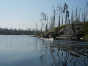 Paddling Insula