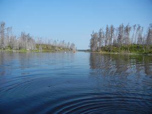 Paddling Insula