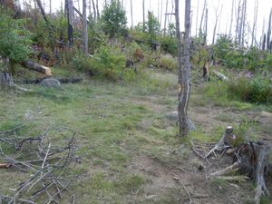 Campsite 1364