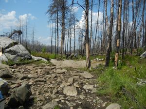 Hudson-Pond Portage