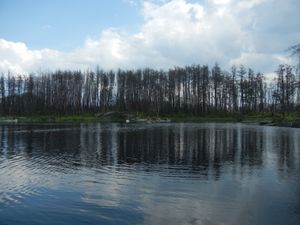 Lake Four Portage
