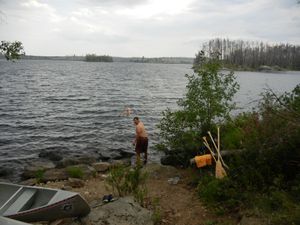 Brisk Swim