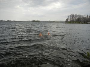 Brisk Swim