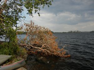 Campsite 1510 - View from South Landing