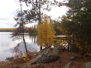 Summer_and_Fall_2015_293.JPG