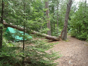 Tent Pads at Amber Lake Site