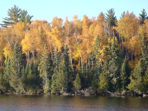 Summer_and_Fall_2015_348.JPG
