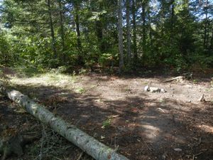 Large South Cross Campsite