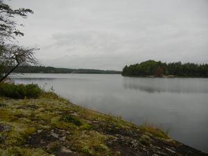 Gray Granite Morning