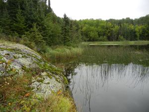 Weedy Bay