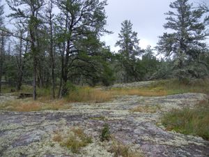 Extended Campsite
