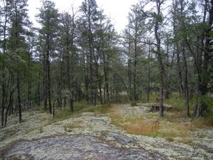 Extended Campsite