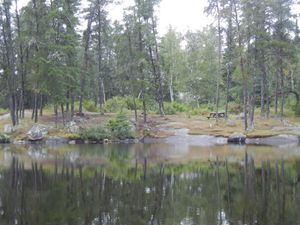 North Cross Campsite