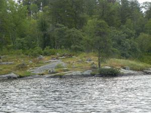North Cross Campsite