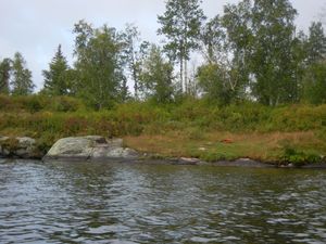 North Cross Campsite