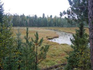 Pine creek overlook