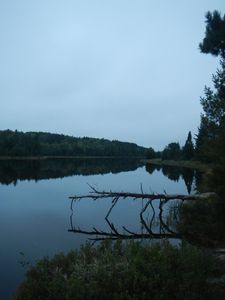 Buck Lake mirror