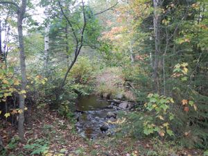 Creek crossing