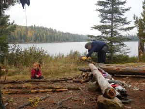 Cutting firewood