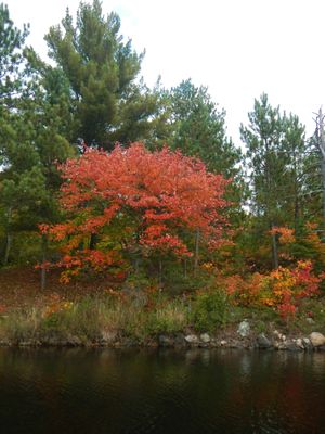 Crab Lake colors