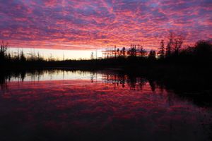 pond at sunset