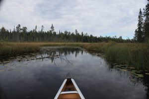 Elton Lake ponds