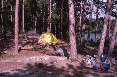 North Bay, Campsite ZS