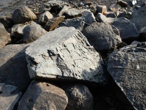 Rocks on the shore of campsite