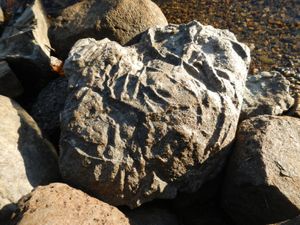 Rocks on the shore of campsite