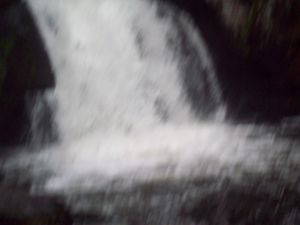 Johnson Falls