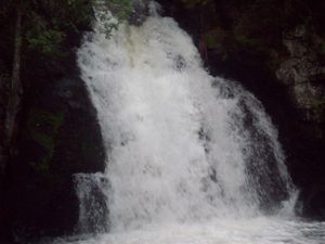 Johnson Falls