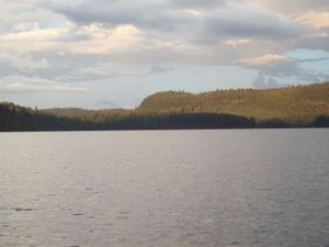 102_2730.jpg