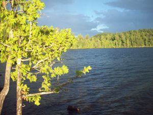 102_2729.jpg