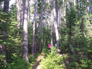 102_2751.jpg