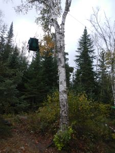 Campsite on Jordan Lake