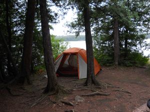 Adams Lake Island Campsite